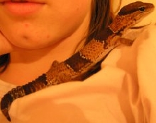 Another of Selwyn