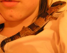 Another of Selwyn