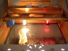 All Cage Lights