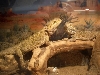 posing for the camera. . .
