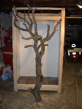 New cage w/ branch