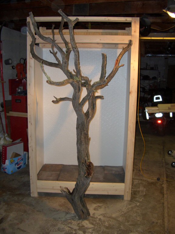 New cage w/ branch