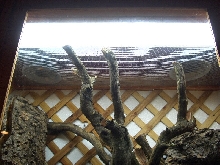 pic of the lighting/heating setup