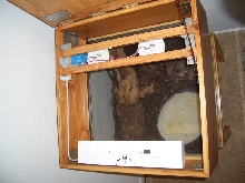 Cage Lid from above