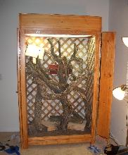 My new enclosure after adding the lattice