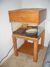 Full Cage