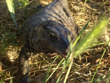 He's got an eye on me. . . .