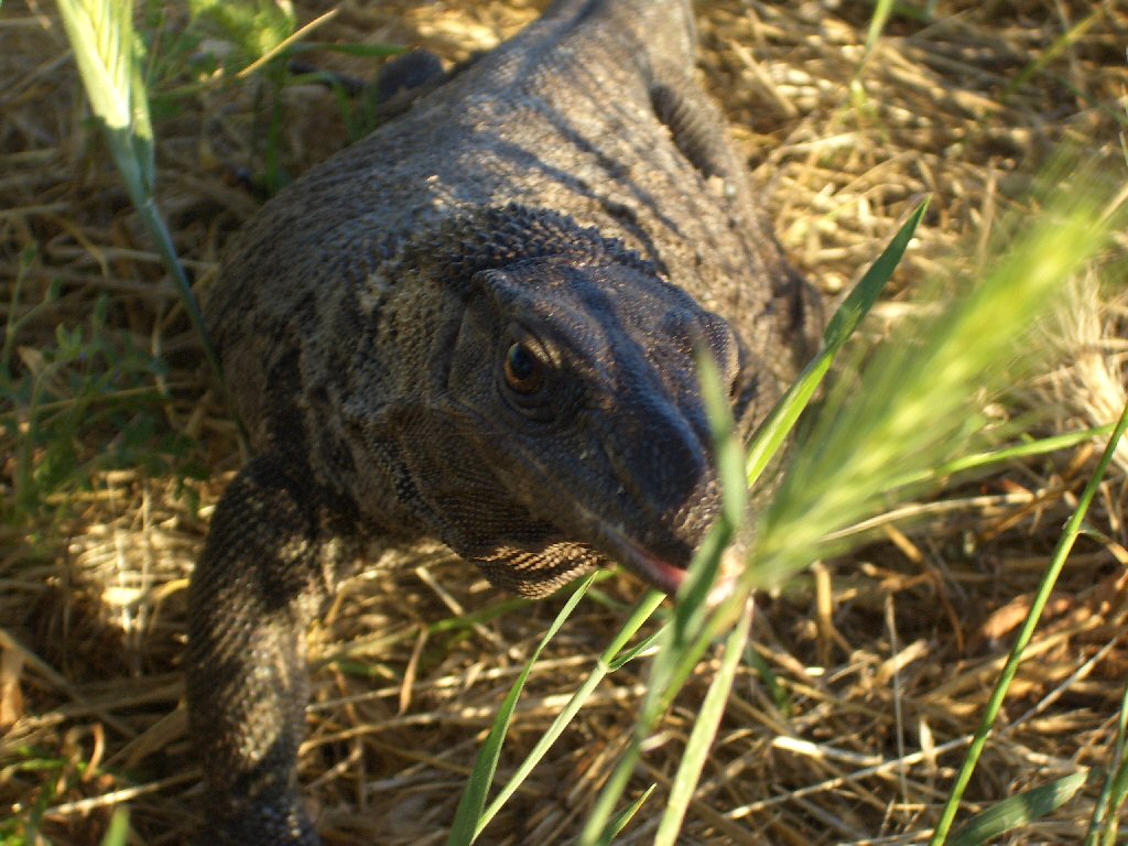 He's got an eye on me. . . .
