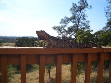 my BT out enjoying the sun and the view