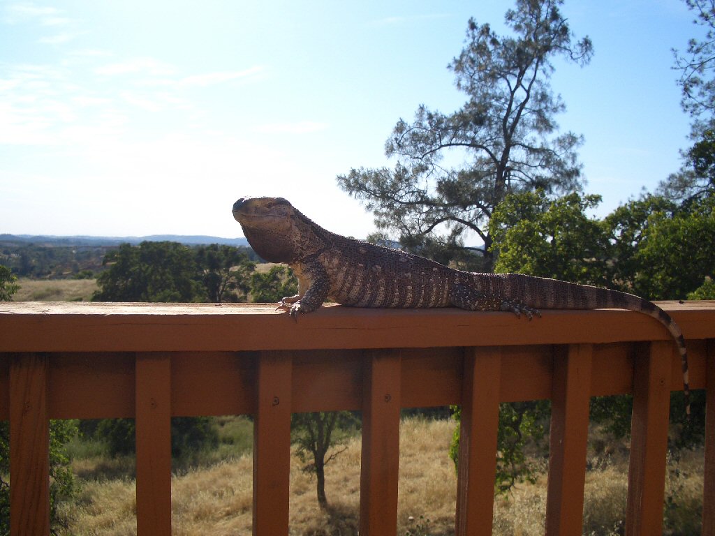 my BT out enjoying the sun and the view
