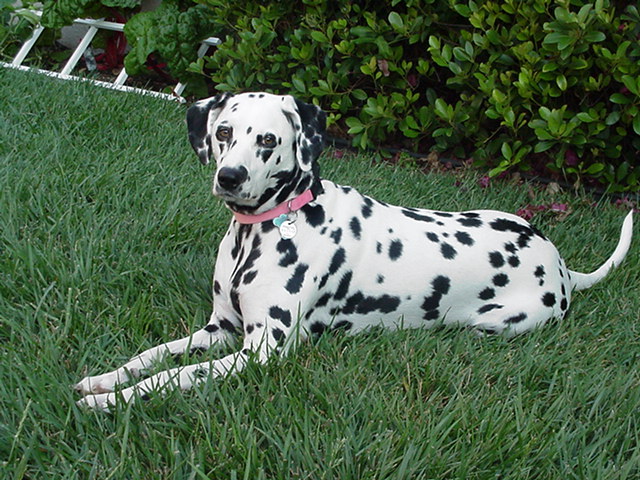 Maggie