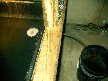 Drain