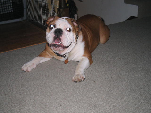 Nunzio laying down