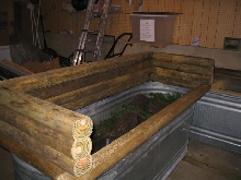 Jobiensis Enclosure short