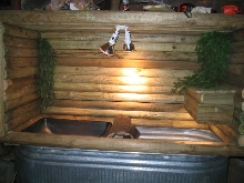Jobiensis Enclosure electric