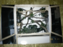 Beccari bt enclosure