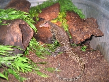 Full body, male