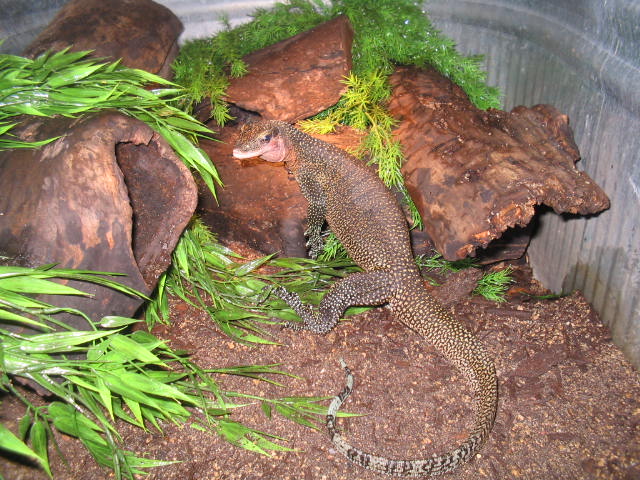 Full body, male