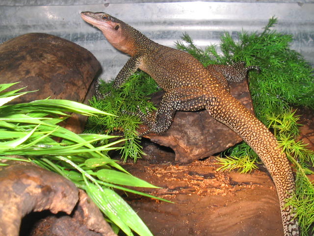 nice shot of male