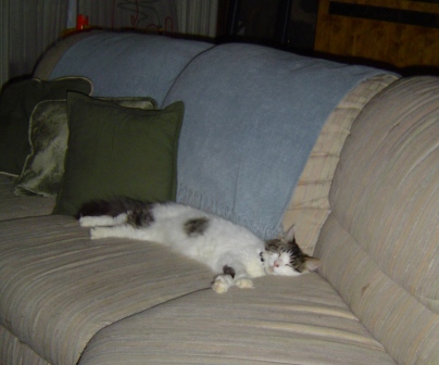 patches streched out