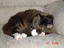 dude curled up
