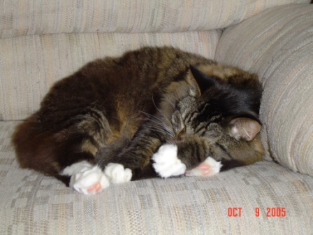 dude curled up
