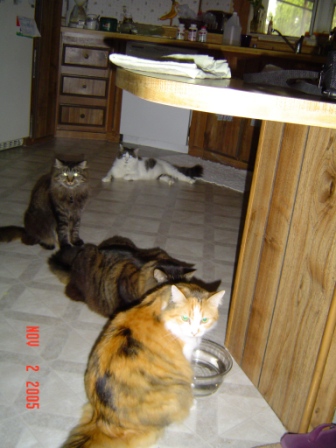 waiting at the old waterhole
