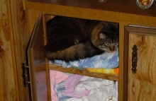 dude in cupboard