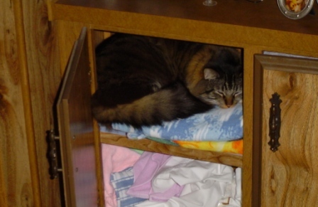 dude in cupboard