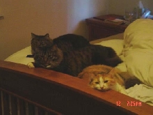 the original 3 relaxing