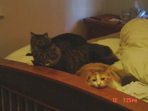 the original 3 relaxing
