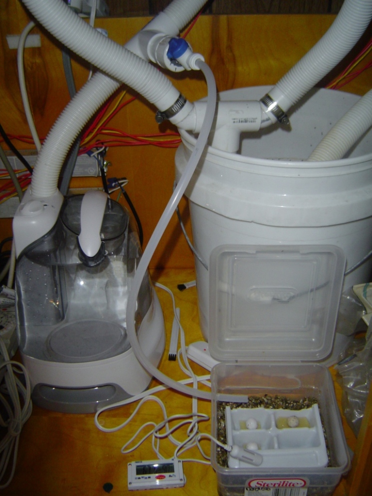 incubtion and humidification setup