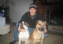 tyson (bullterrier) & makaveli (sharpei/pitbull)