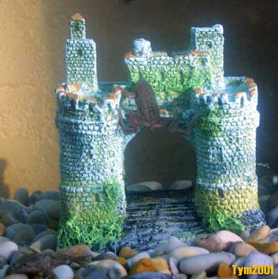 King of the castle