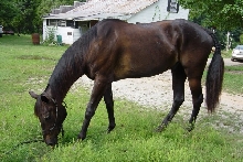 Val