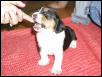 Look, I have teeth!!