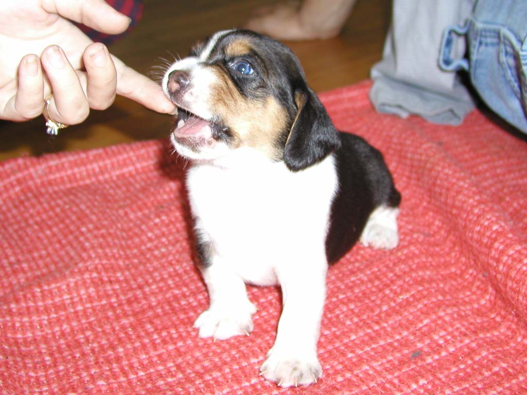 Look, I have teeth!!