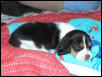 Nap time after playing