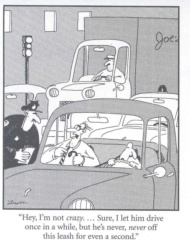 Dog Law