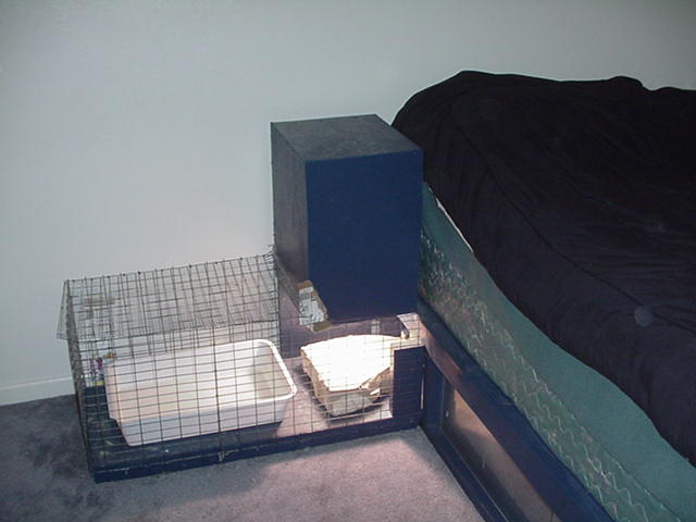 fonzie's cage #1