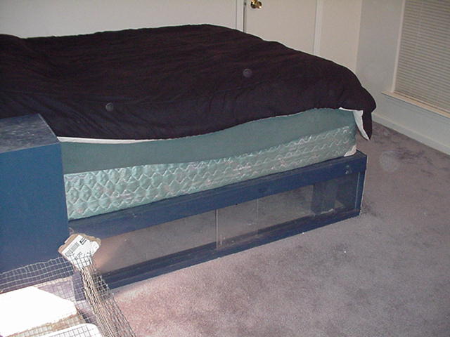 fonzie's cage #2