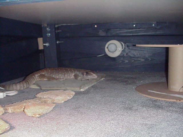 fonzie's cage #3