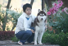 Pinocchio & Mom