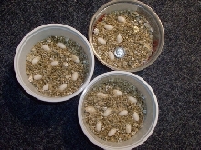 eggs 3  cup