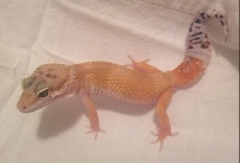 old baby 1