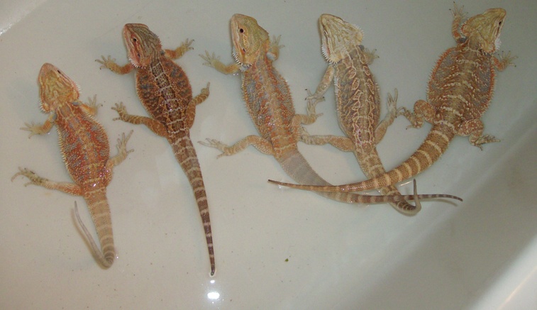 bath time!