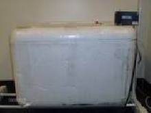 incubator pic #1