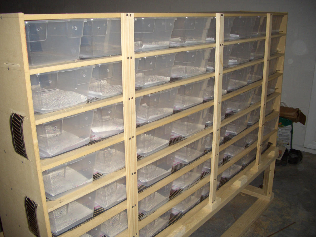 Back of Rack