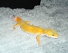 I11