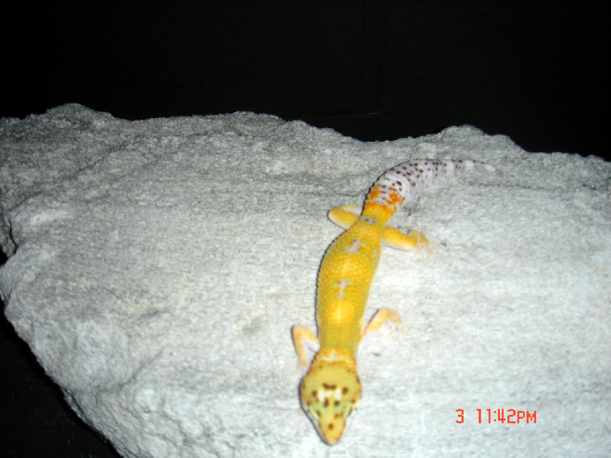 7.1